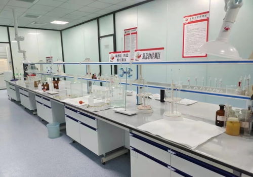 河北邢臺(tái) “小巨人”成香餑餑，領(lǐng)跑產(chǎn)業(yè)技術(shù)開(kāi)發(fā)加速度